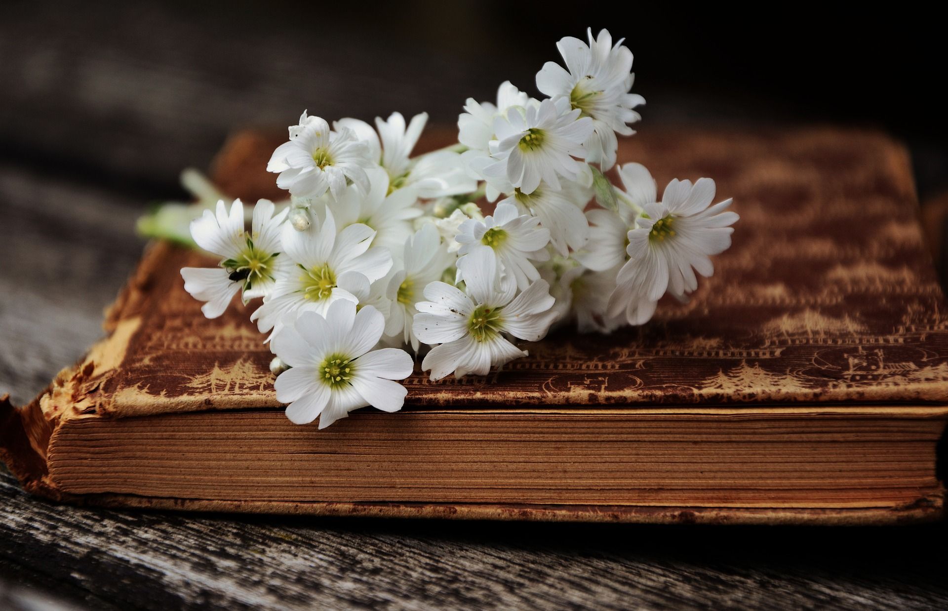 Tradicija učenja Kur’ana u Bosni i Hercegovini